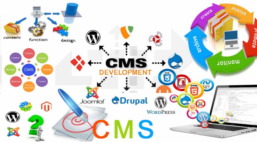Enterprise CMS Website Developement